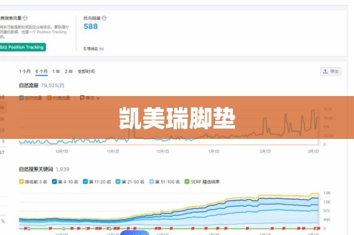 凯美瑞脚垫