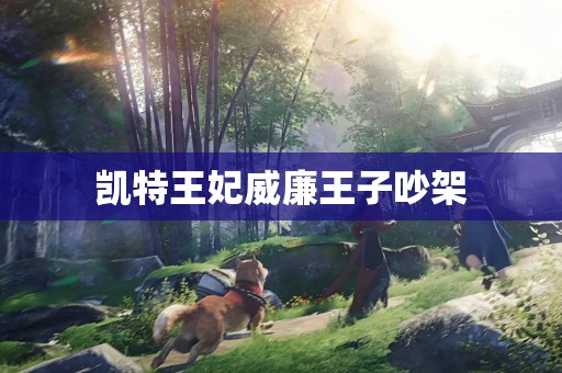 凯特王妃威廉王子吵架