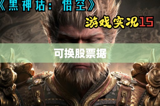 可换股票据