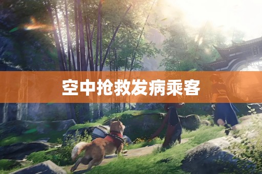 空中抢救发病乘客