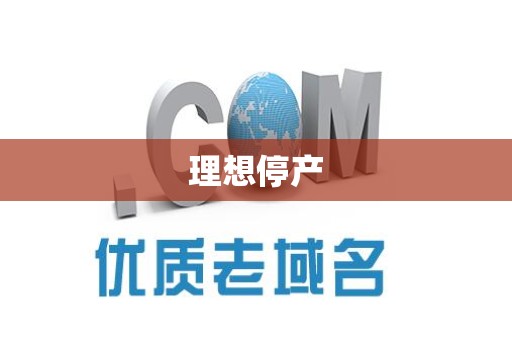 理想停产