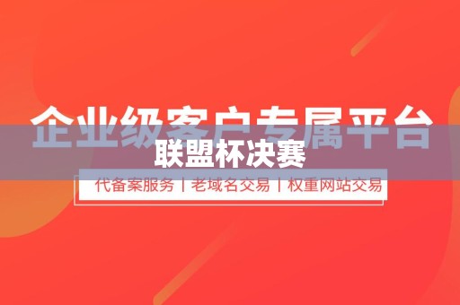 联盟杯决赛