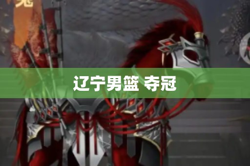 辽宁男篮 夺冠