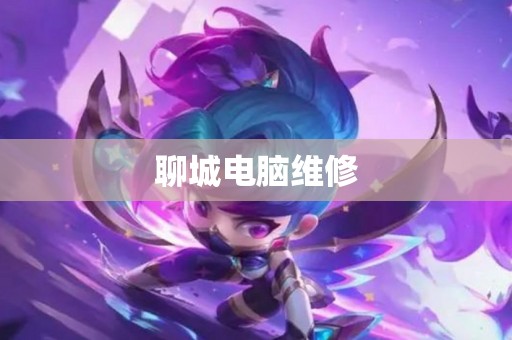 聊城电脑维修