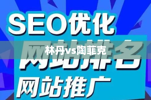 林丹vs陶菲克