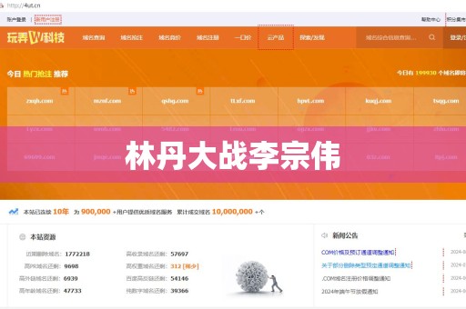 林丹大战李宗伟