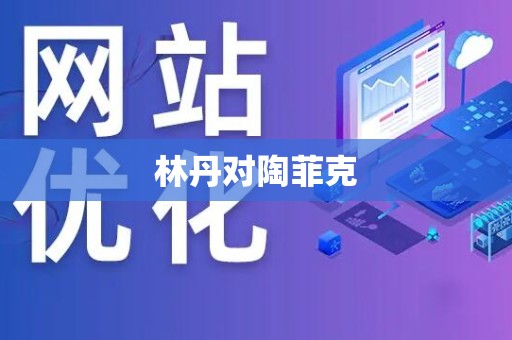 林丹对陶菲克