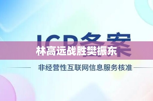 林高远战胜樊振东