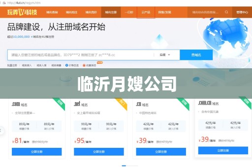 临沂月嫂公司