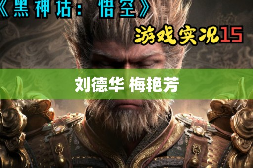 刘德华 梅艳芳