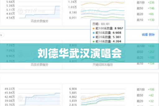 刘德华武汉演唱会