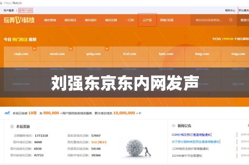 刘强东京东内网发声