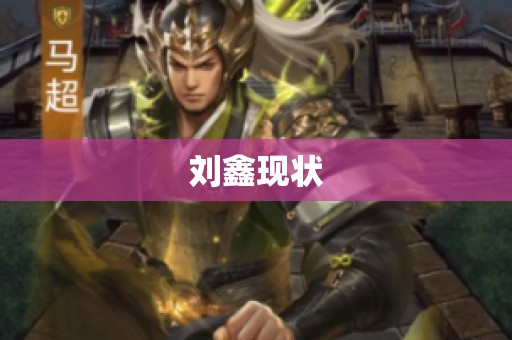 刘鑫现状