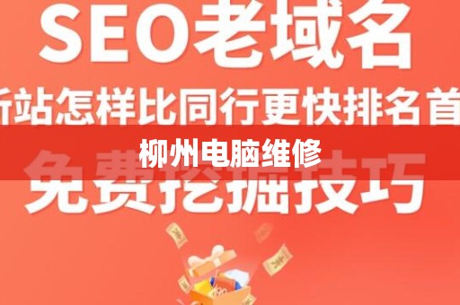 柳州电脑维修