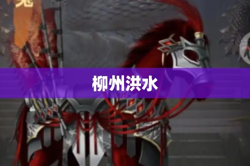 柳州洪水