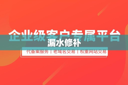 漏水修补