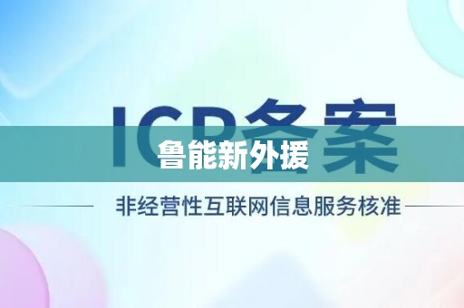 鲁能新外援
