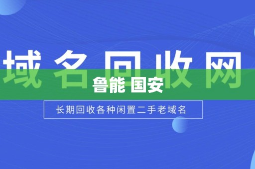鲁能 国安