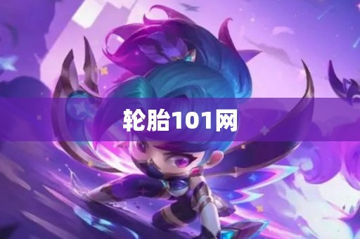 轮胎101网