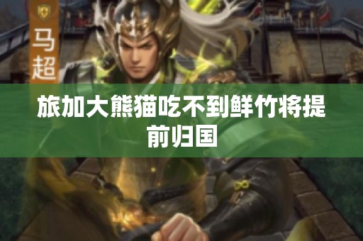 旅加大熊猫吃不到鲜竹将提前归国