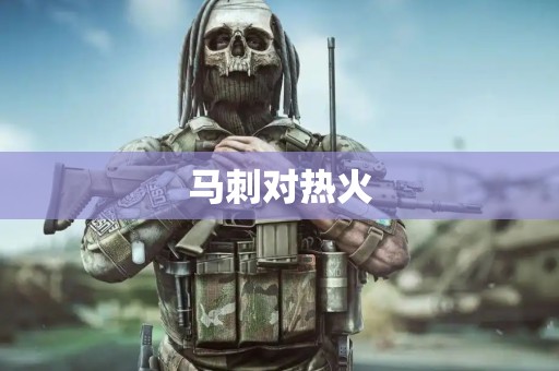 马刺对热火