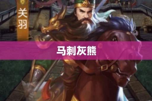 马刺灰熊