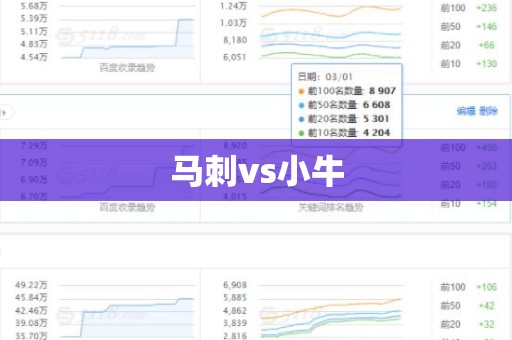 马刺vs小牛