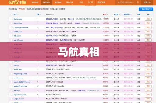马航真相