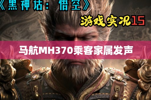 马航MH370乘客家属发声