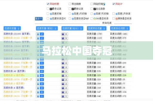 马拉松中国夺冠
