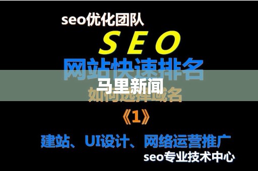 马里新闻