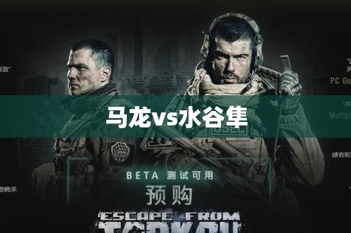 马龙vs水谷隼