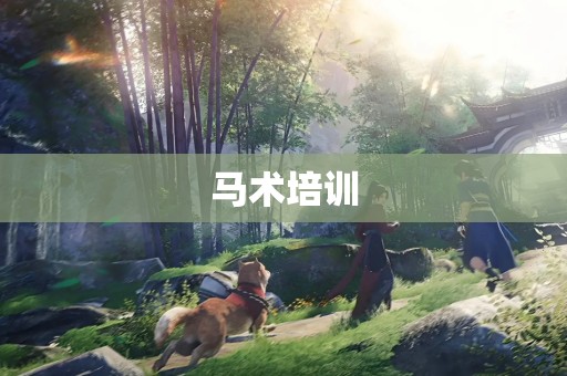 马术培训