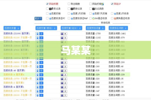 马某某