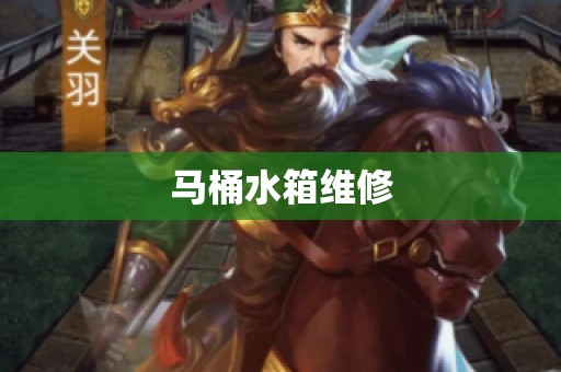 马桶水箱维修