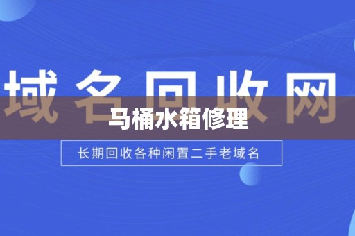 马桶水箱修理