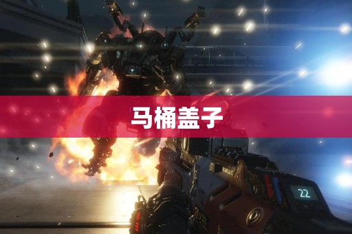 马桶盖子