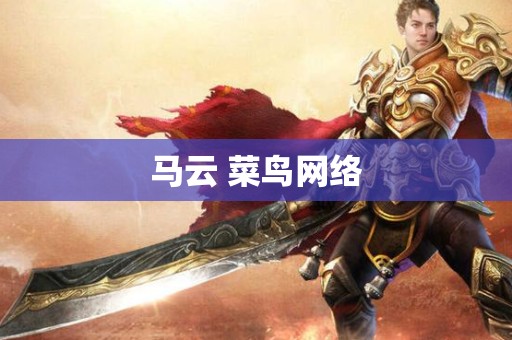 马云 菜鸟网络