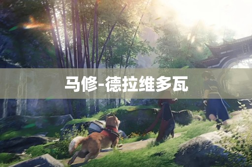 马修-德拉维多瓦