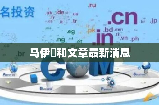 马伊琍和文章最新消息