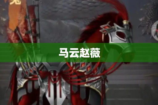 马云赵薇