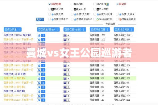 曼城vs女王公园巡游者