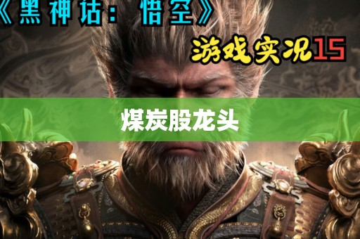 煤炭股龙头