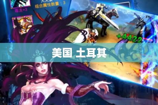 美国 土耳其