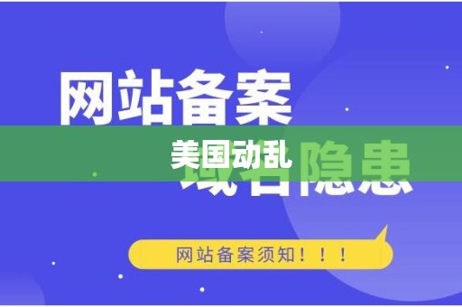 美国动乱
