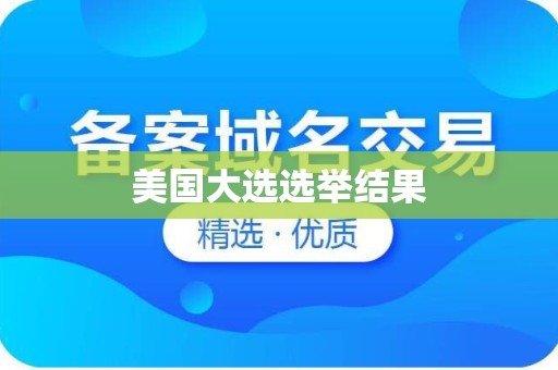 美国大选选举结果