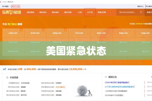 美国紧急状态