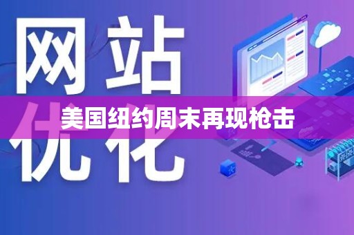 美国纽约周末再现枪击
