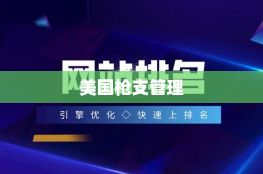 美国枪支管理