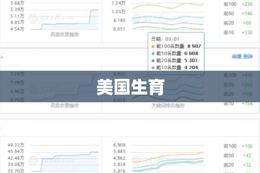 美国生育